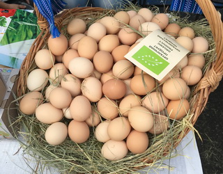 Березанська птахофабрика розвиває виробництво органічних яєць і курятини